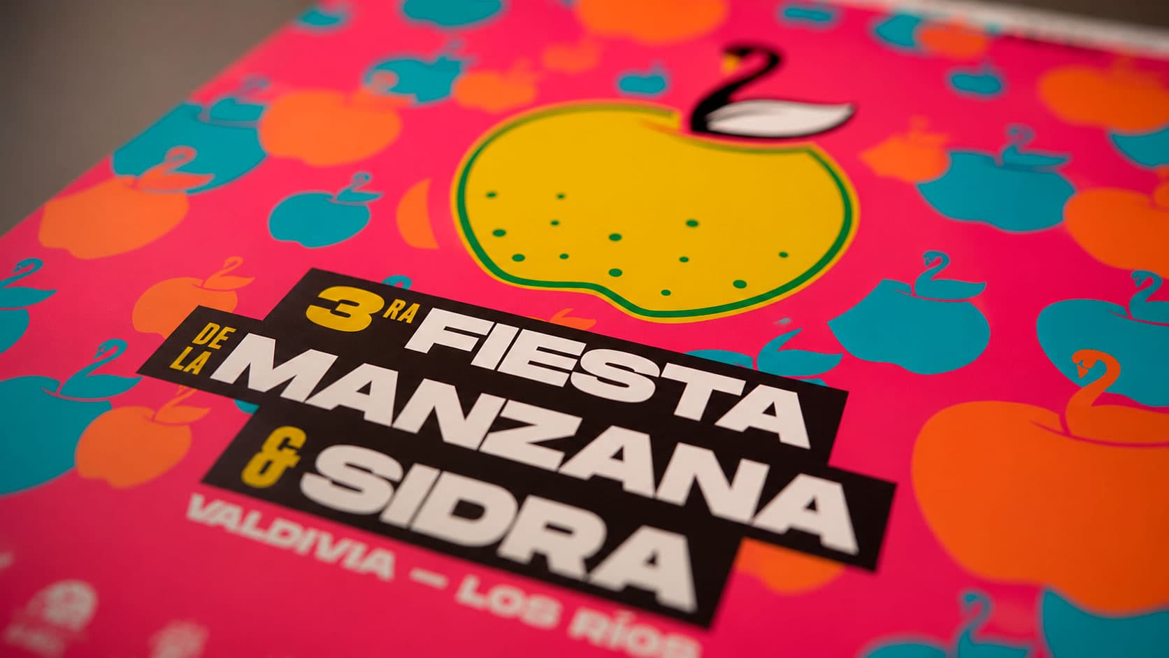 Festival Internacional de Cine de Valdivia - Identidad Visual & Dirección de Arte diseñado por Gatovisual en Valdivia, Chile
